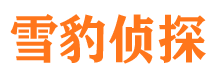 绥江市侦探公司